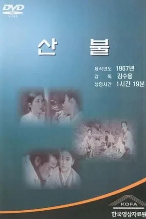Постер к фильму Пламя в долине (1967)