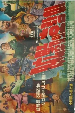 Постер к фильму Gwangyaui horangi (1965)