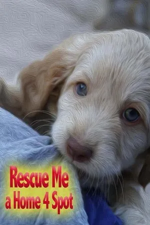 Постер к фильму Rescue Me: A Home 4 Spot (2019)