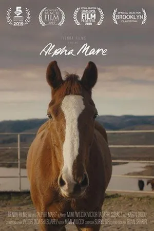 Постер к фильму Alpha Mare (2019)