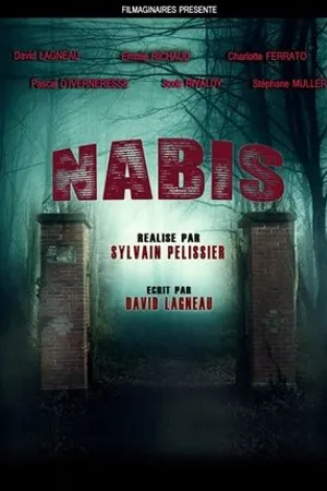 Постер к фильму Nabis (2018)