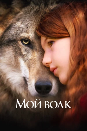 Постер к фильму Мой волк (2021)