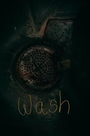 Постер к фильму Wash (2019)