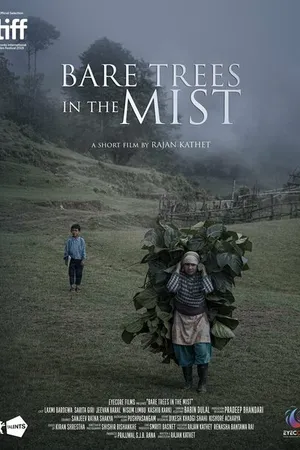 Постер к фильму Bare Trees in the Mist (2019)