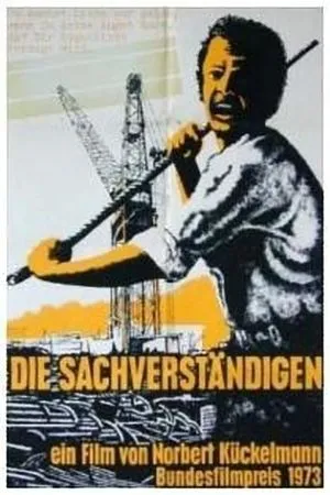 Постер к фильму Эксперты (1973)