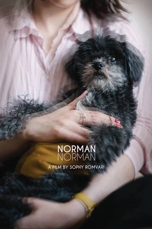 Постер к фильму Norman Norman (2018)