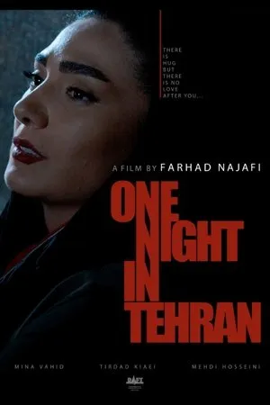 Постер к фильму One Night in Tehran (2019)