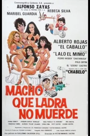 Постер к фильму Macho que ladra no muerde (1984)