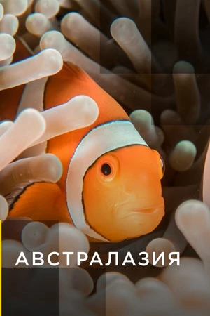 Постер к сериалу Австралазия (2017)