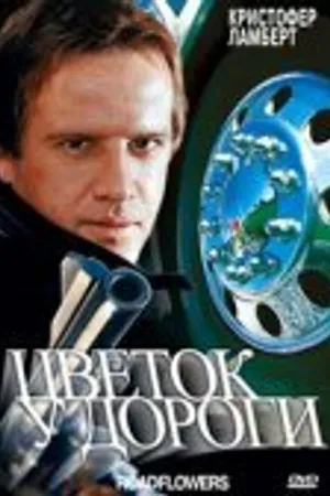 Постер к фильму Цветок у дороги (1993)