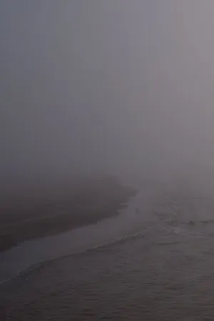 Постер к фильму Niebla (2017)