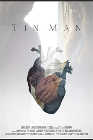 Постер к фильму Tin Man (2017)