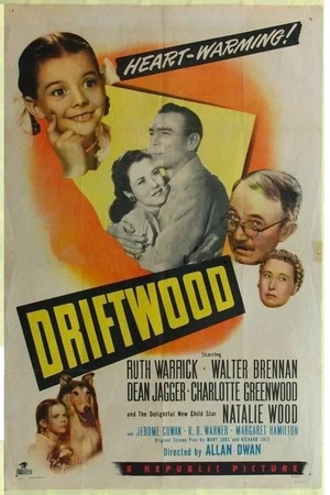 Постер к фильму Обломки (1947)