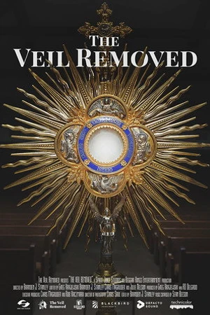 Постер к фильму The Veil Removed (2019)