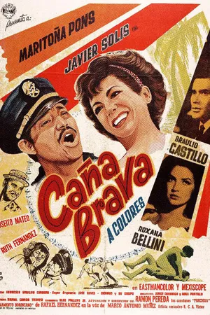 Постер к фильму Канья Брава (1966)