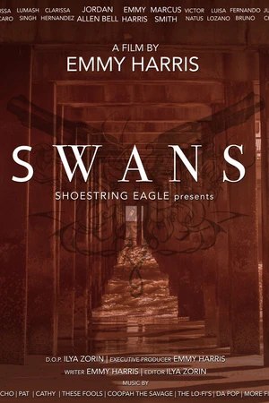 Постер к фильму Swans (2021)