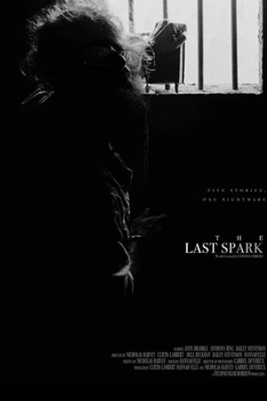 Постер к фильму The Last Spark (2021)