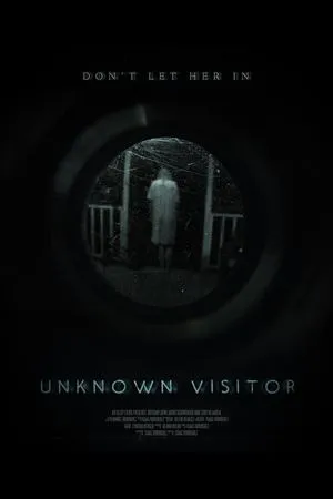 Постер к фильму Unknown Visitor (2019)