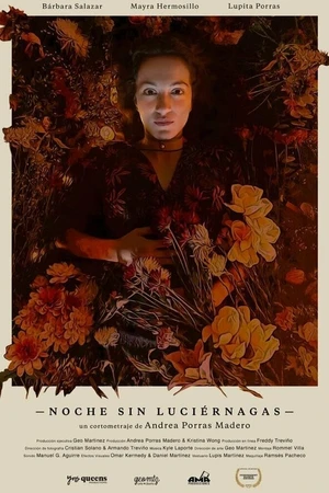 Постер к фильму Noche Sin Luciérnagas (2019)