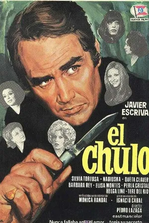 Постер к фильму Сводник (1974)