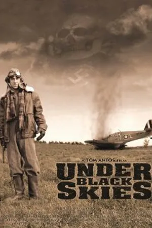 Постер к фильму Under Black Skies (2004)