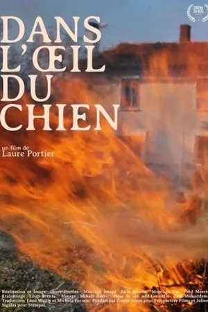 Постер к фильму Dans l'oeil du chien (2019)