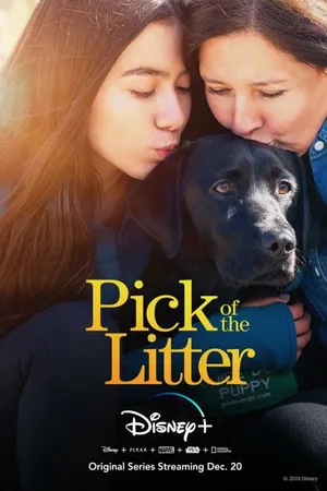 Постер к сериалу Pick of the Litter (2019)