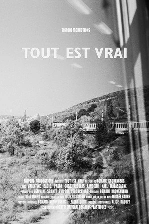 Постер к фильму Tout est vrai (2019)
