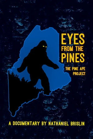 Постер к фильму Eyes from the Pines (2021)