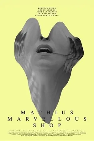 Постер к фильму Mathius Marvellous Shop (2019)