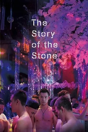Постер к фильму The Story of the Stone (2018)