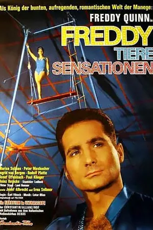 Постер к фильму Freddy, Tiere, Sensationen (1964)