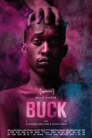 Постер к фильму Buck (2020)