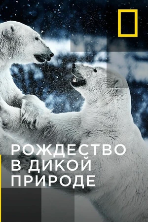 Постер к сериалу Рождество в дикой природе (2011 - 2016)