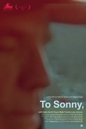 Постер к фильму To Sonny (2020)