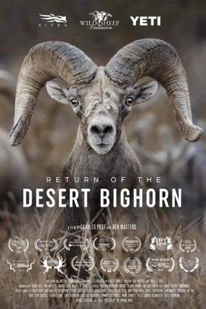 Постер к фильму Return of the Desert Bighorn (2018)