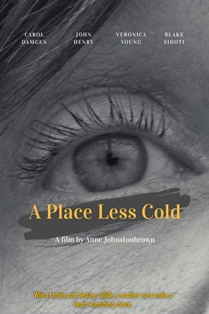 Постер к фильму A Place Less Cold (2020)