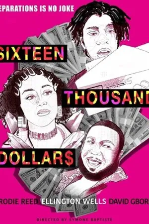 Постер к фильму Sixteen Thousand Dollars (2020)