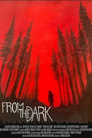 Постер к фильму From the Dark (2020)