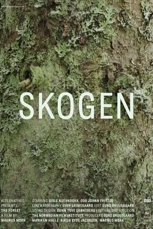 Постер к фильму Skogen (2018)