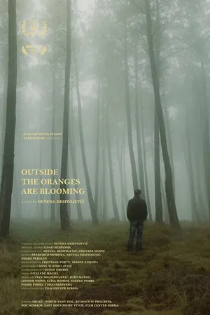 Постер к фильму Outside Oranges Are Blooming (2019)