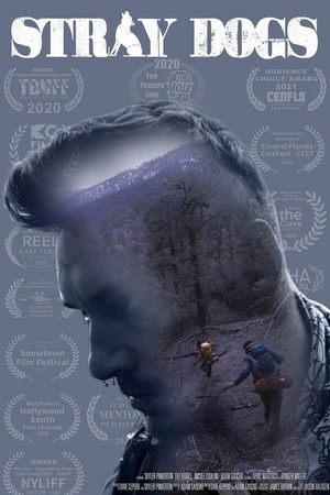 Постер к фильму Stray Dogs (2020)