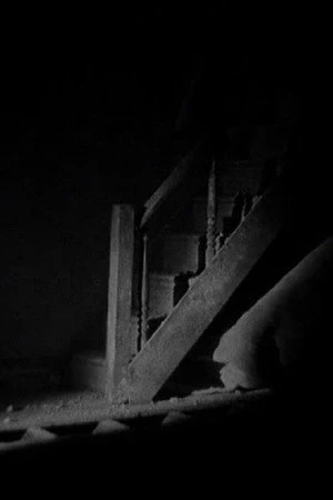 Постер к фильму House (2007)