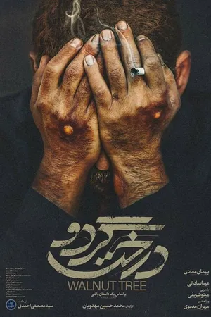 Постер к фильму Грецкий орех (2020)