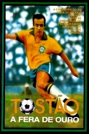Постер к фильму Tostão - A Fera de Ouro (1970)