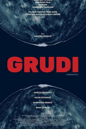 Постер к фильму Grudi (2020)