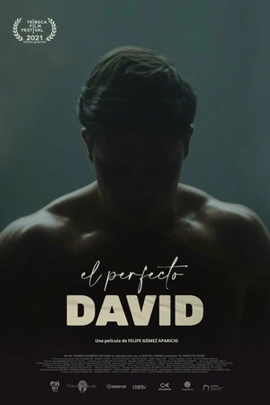 Постер к фильму El perfecto David (2021)