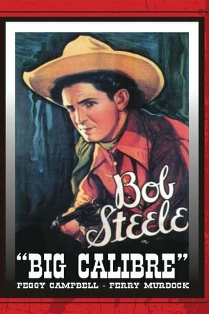Постер к фильму Большой калибр (1935)