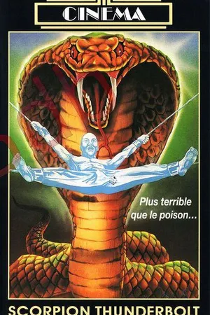 Постер к фильму Удар скорпиона (1988)