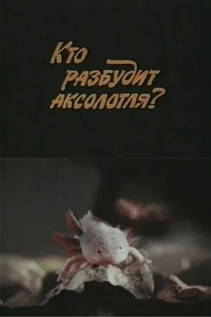 Постер к фильму Кто разбудит аксолотля? (1981)